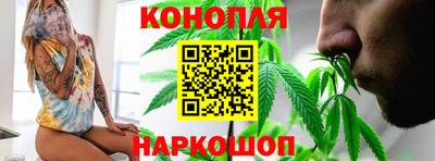 стафф Новодвинск